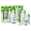 BIOAQUA Centella Asiatica 6-Piece Skincare Set – Cleanser, Toner, Serum, Lotion, Eye Cream & Face Cream – Hydrating and Refreshing Facial Kit for All Skin Types